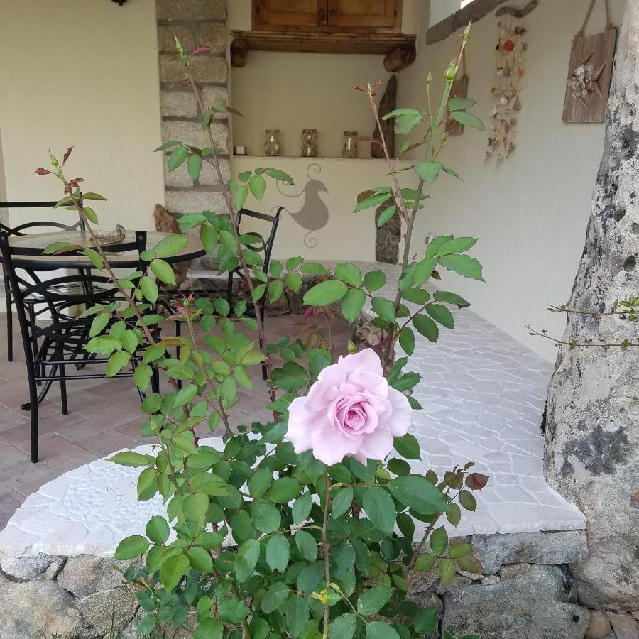 سانتا تيريزا غالّورا Nonna Pasqualina B&B المظهر الخارجي الصورة